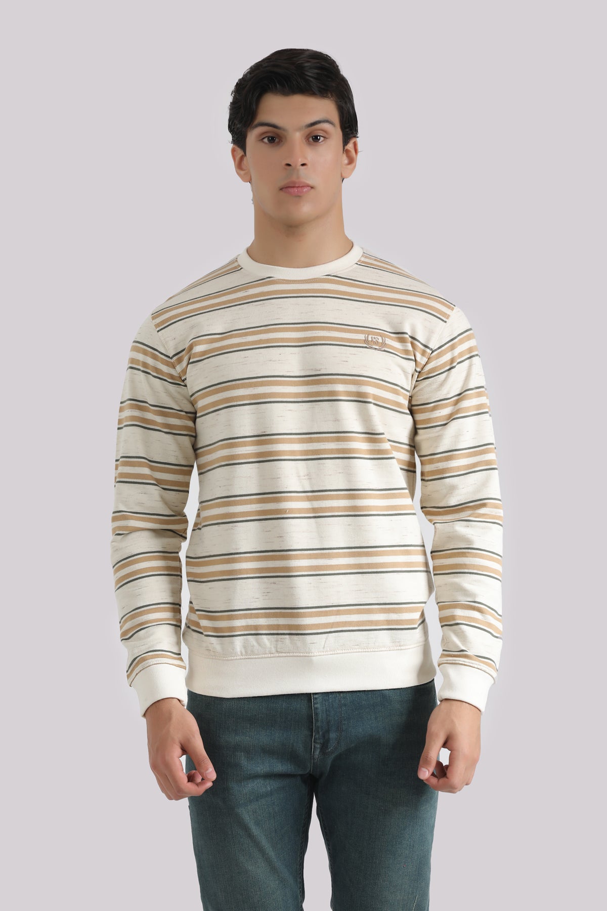 MULTI STRIPPED SWEAT SHIRT