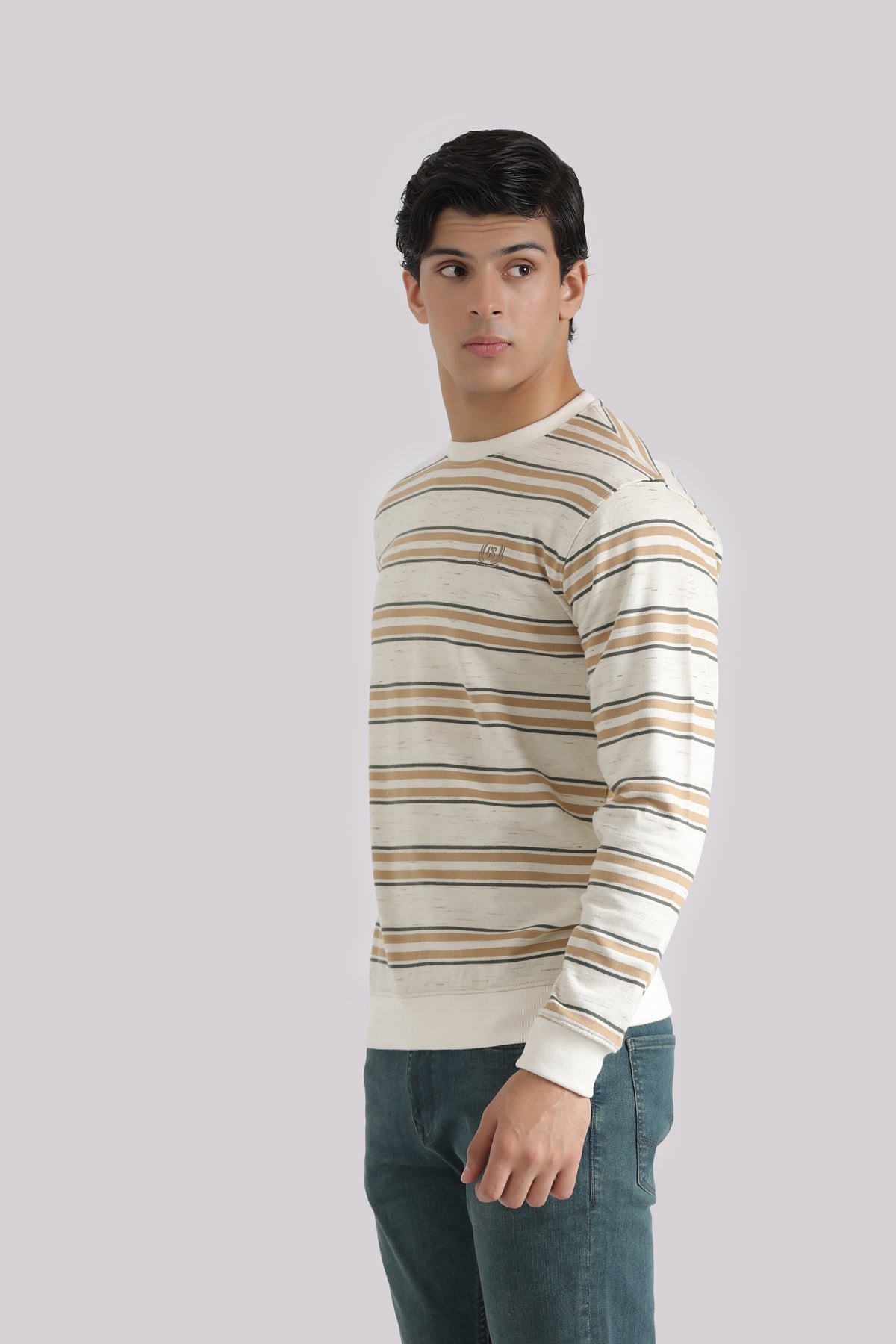 MULTI STRIPPED SWEAT SHIRT