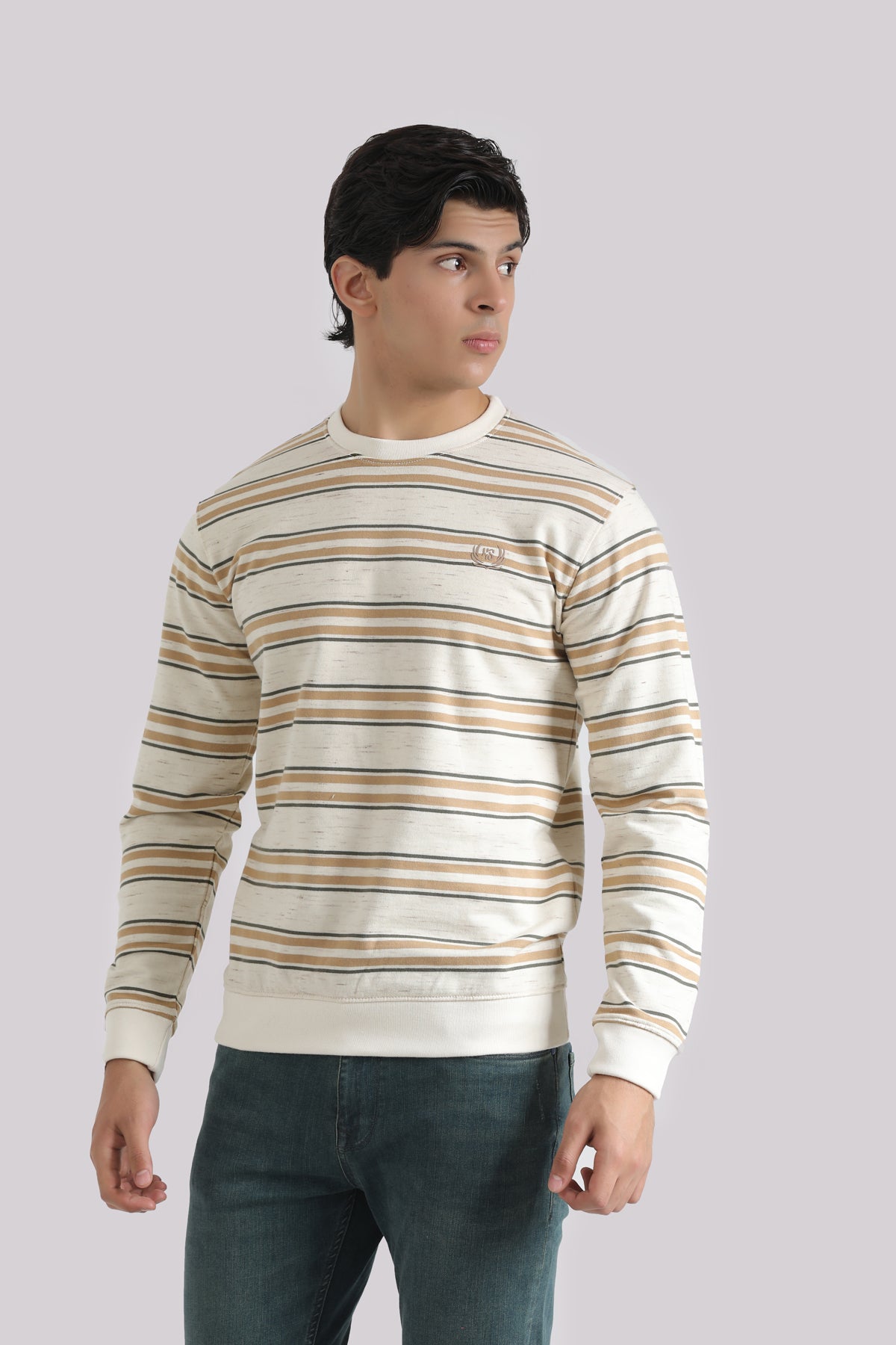 MULTI STRIPPED SWEAT SHIRT